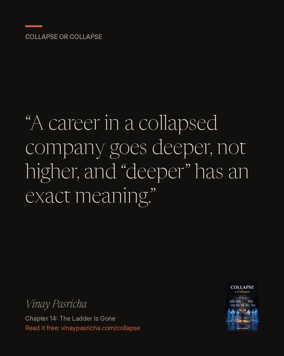 Quote card: A career in a collapsed company goes deeper, not higher, and “deeper” has an exact meaning. Vinay Pasricha, Collapse or Collapse, Chapter 14: The Ladder Is Gone.